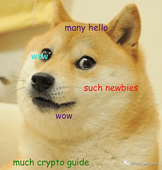 模因币再掀热潮，BitMEX CEO如何理解加密meme？